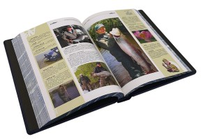 IMG_4697 копия97